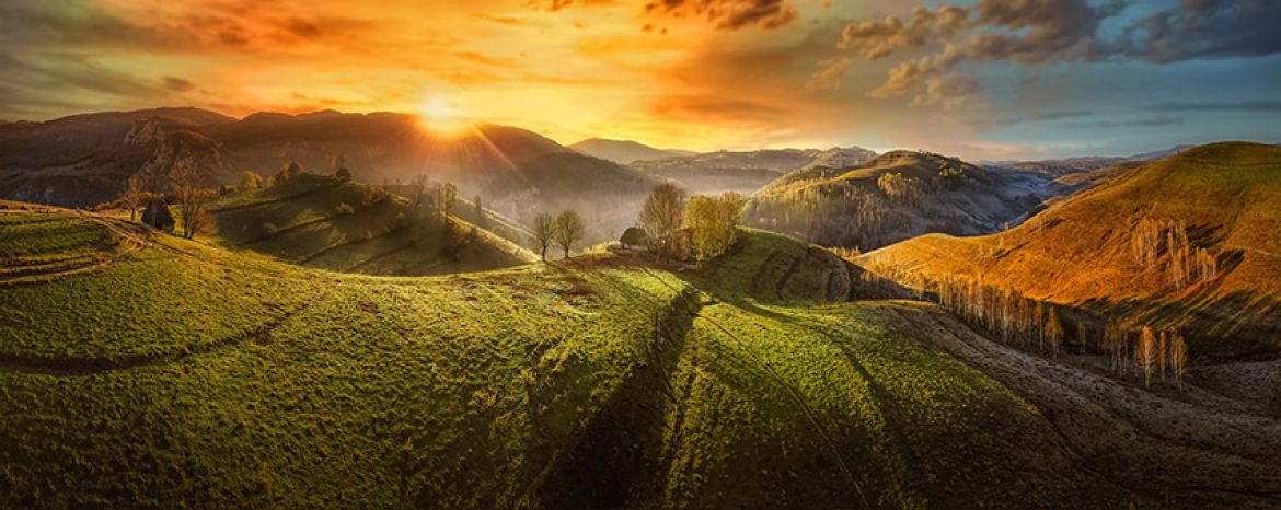 distinctie_de_excelenta_in_fotografie_vasile_sarb_2022