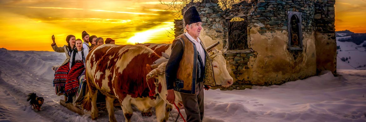 Centrul de excelență în fotografie Samoilă Mârza